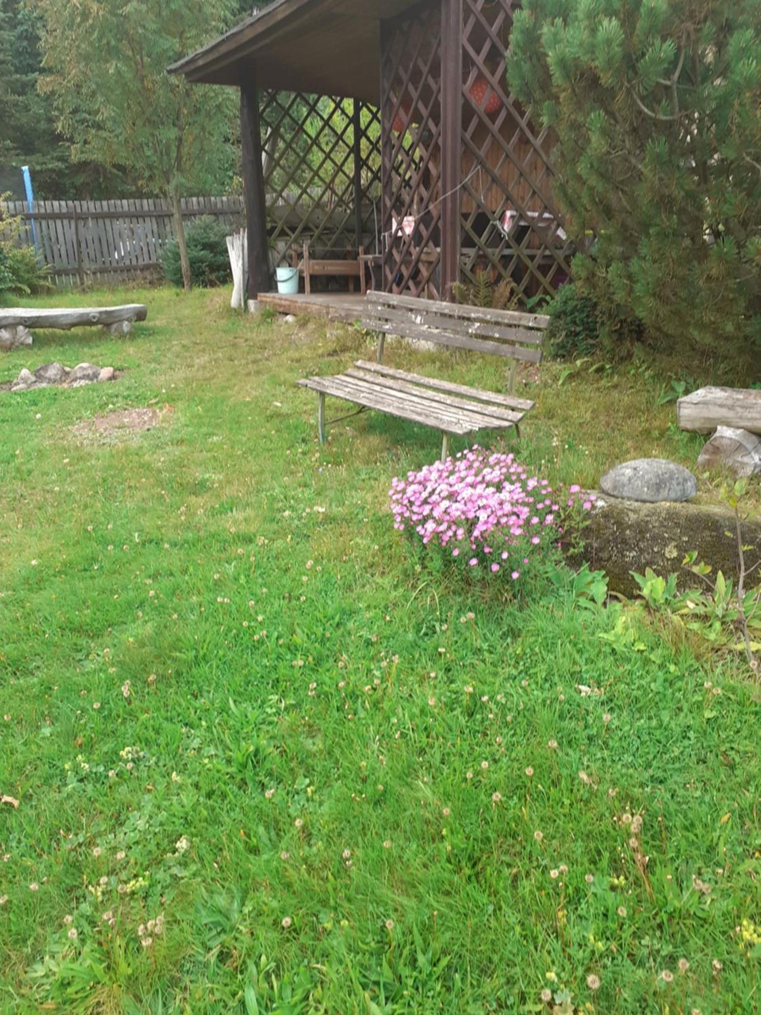 Apartment Arnika Kořenov Buitenkant foto